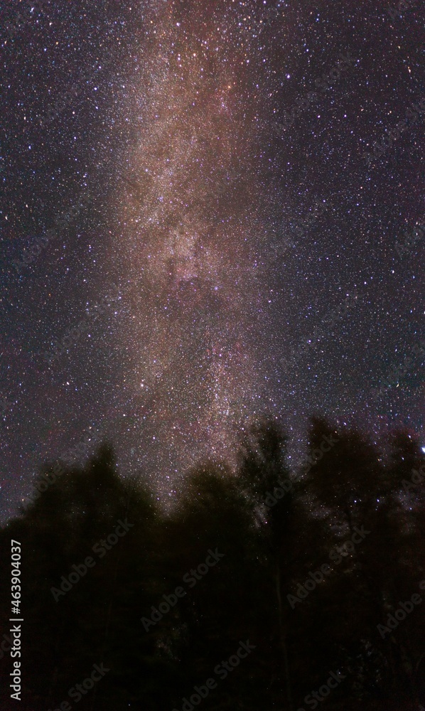 the milky way on a forest of fairbanks in alaska
the milky way on a forest of fairbanks in alaska