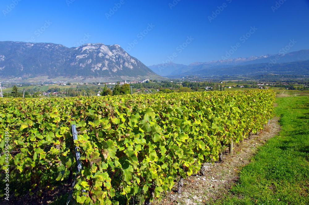 vignobles de savoie