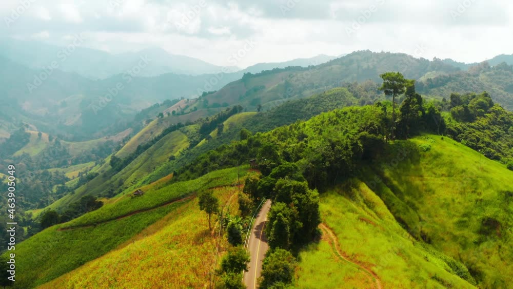 custom made wallpaper toronto digitalAerial footage of winding road in rainy season on tropical rainforest mountain in Nan province, Thailand. 4K resolution drone footage top view.