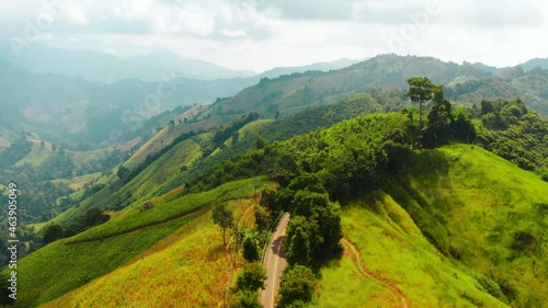 Wallpaper Mural Aerial footage of winding road in rainy season on tropical rainforest mountain in Nan province, Thailand. 4K resolution drone footage top view. Torontodigital.ca
