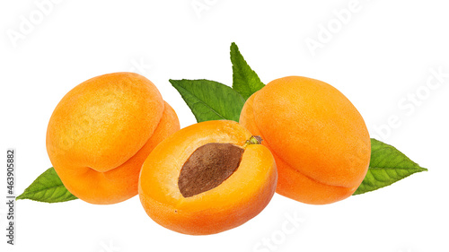 Apricots with leaves isolated on white background with clipping path