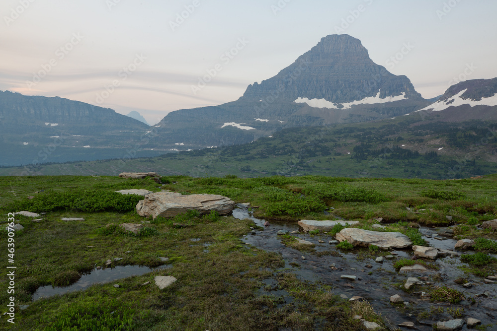 A shallow stream runs through a rocky alpine meadow along the Hidden Lake trail in Glacier National Park Montana with Reynolds mountain in the far distance. 