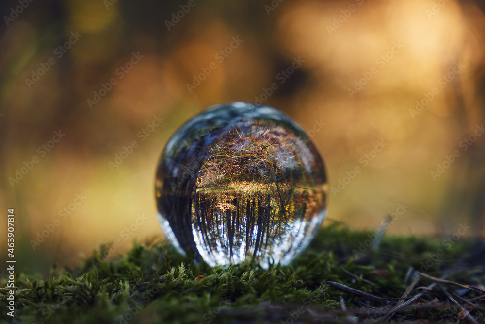 A crystal ball lies on a moss in the forest. Selective soft focus. Reflection of the forest. Environment concept. Concept and theme of nature, environmental protection. Glass material. Copy space A crystal ball lies on a moss in the forest. Selective soft focus. Reflection of the forest. Environment concept. Concept and theme of nature, environmental protection. Glass material. Copy space