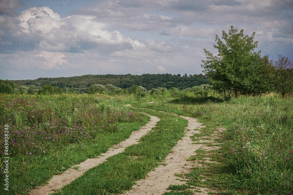 Fototapeta premium an empty country road in a field, the forest is on the horizon, the sky with beautiful clouds, a summer day, the nature of Russia