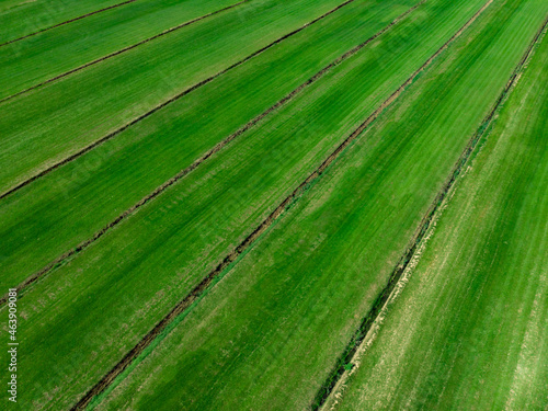Green sod farm from above