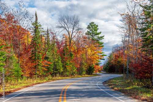 Winding Road at Autumn in Door County of Wisconsin