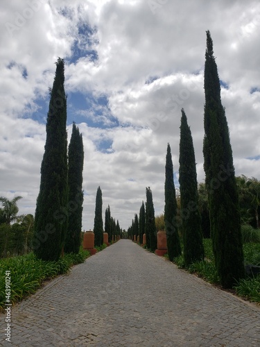 Eden's Garden in Portugal