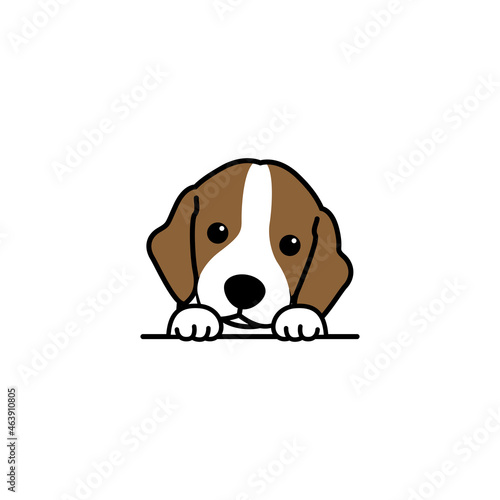 Cute beagle puppy cartoon, vector illustration