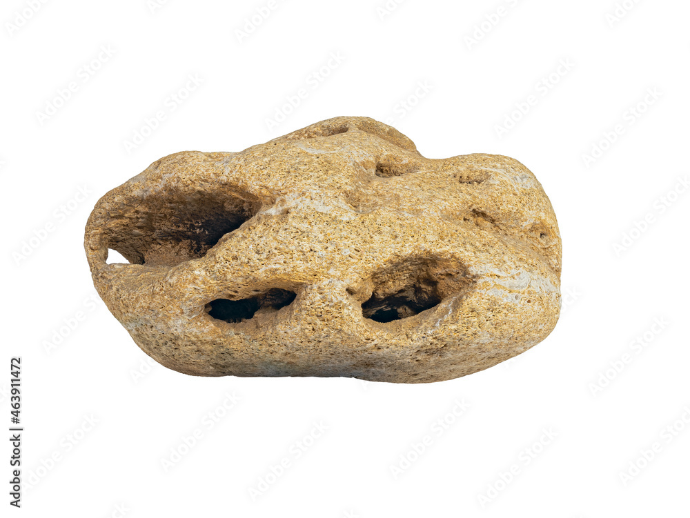 Natural Stone Shell Rock, Smoothed and Polished by Long-Term Winds and Rains, Burnt by The Sun. Inside The Stone, Voids Have Formed. Isolated On White Background Natural Stone Shell Rock, Smoothed and Polished by Long-Term Winds and Rains, Burnt by The Sun. Inside The Stone, Voids Have Formed. Isolated On White Background