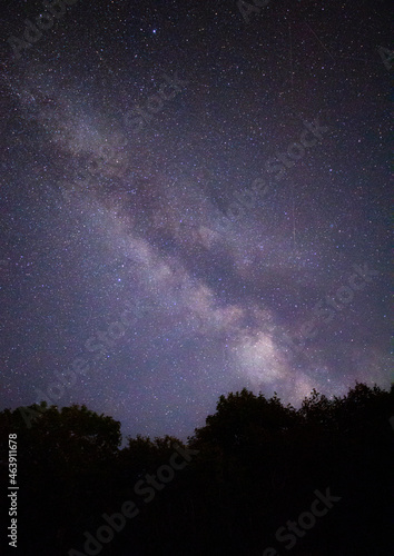 Milky way over the forest