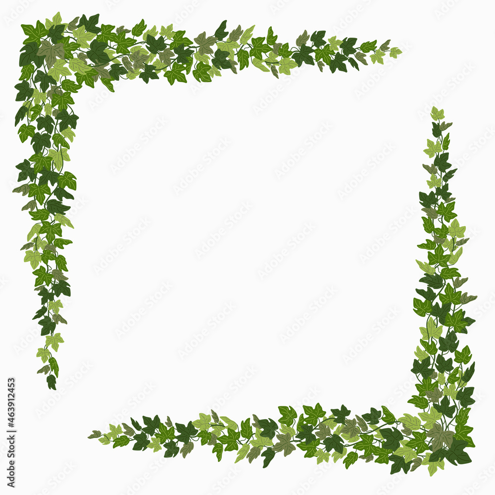 Ivy corners, green vines decorative frame or design elements isolated on white background. Vector illustration in flat cartoon style.