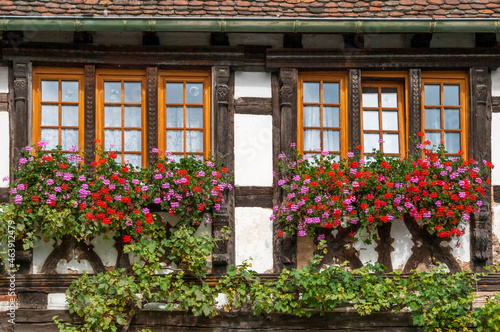 Fachwerkhaus  Fenster  Blumenschmuck