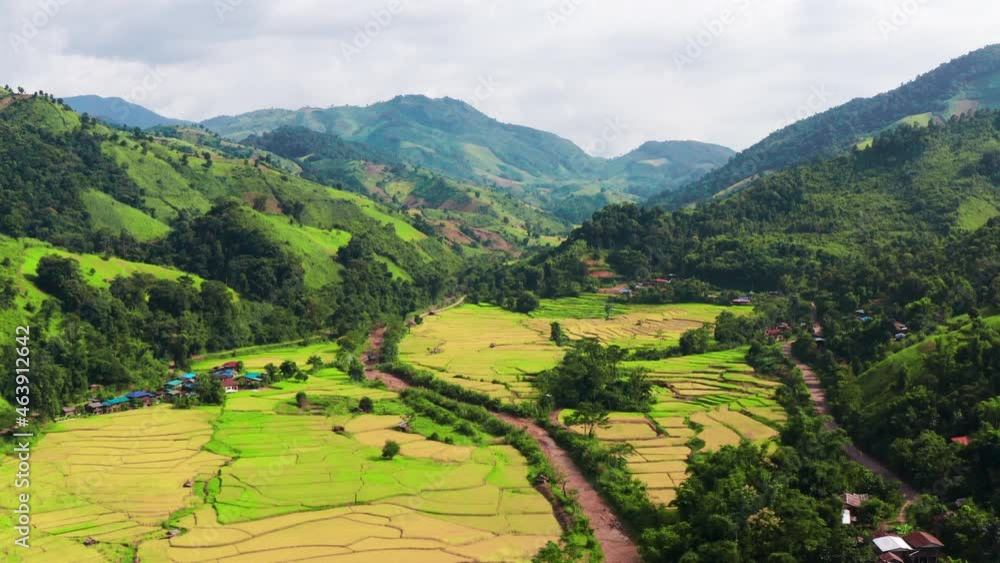 Aerial view of rice terrace in the valley located in Ban Wen, Bo Kluea district, Nan province, Thailand. 4K drone footage rice terrace view in morning. Aerial view of rice terrace in the valley located in Ban Wen, Bo Kluea district, Nan province, Thailand. 4K drone footage rice terrace view in morning.