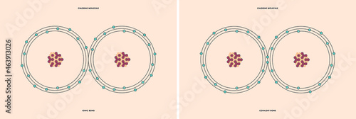 Conceptual vector representation of a chlorine molecule, made up of two atoms, and the types of chemical bonds: covalent, atoms sharing electrons, and ionic, an atom gives an electron to another atom.