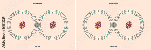 Conceptual vector representation of a calcium molecule, made up of two atoms, and the types of chemical bonds: covalent, atoms sharing electrons, and ionic, an atom gives an electron to another atom. 