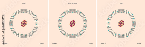 Conceptual vector representation of a calcium atom and its ions: a cation with less electrons than protons and positive charge, and an anion with more electrons than protons and negative charge.