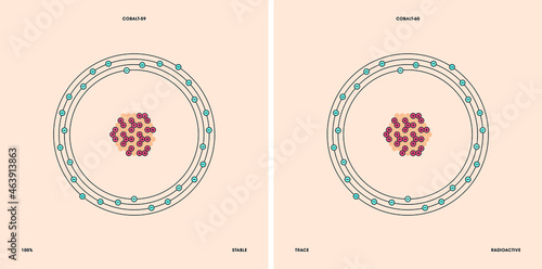Conceptual vector representation of a cobalt atom and its natural isotopes: cobalt-59 with thirty-two neutrons and cobalt-60 with thirty-three neutrons. 
