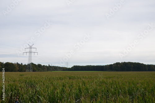 pylons in the field