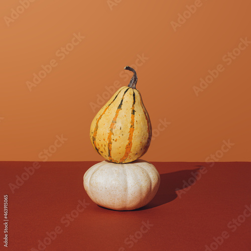 Modern pumpkins sculpture against earth brown background. Autumn minimal concept photo