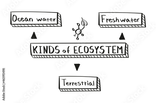 Concept kinds of ecosystem mind map in handwritten style