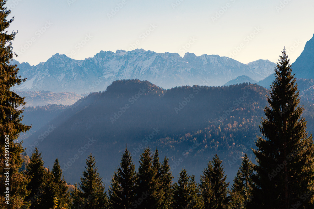 Bergwald in alpiner Landschaft mit gelben und rötlich braunen Farbtönen sowie hohen Bergen im Hintergrund