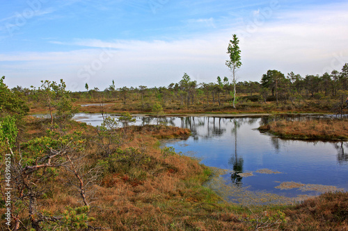 Great Kemeri Bog in Kemeri National Park in Latvia