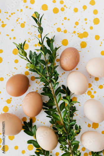 Eggs backgrounds