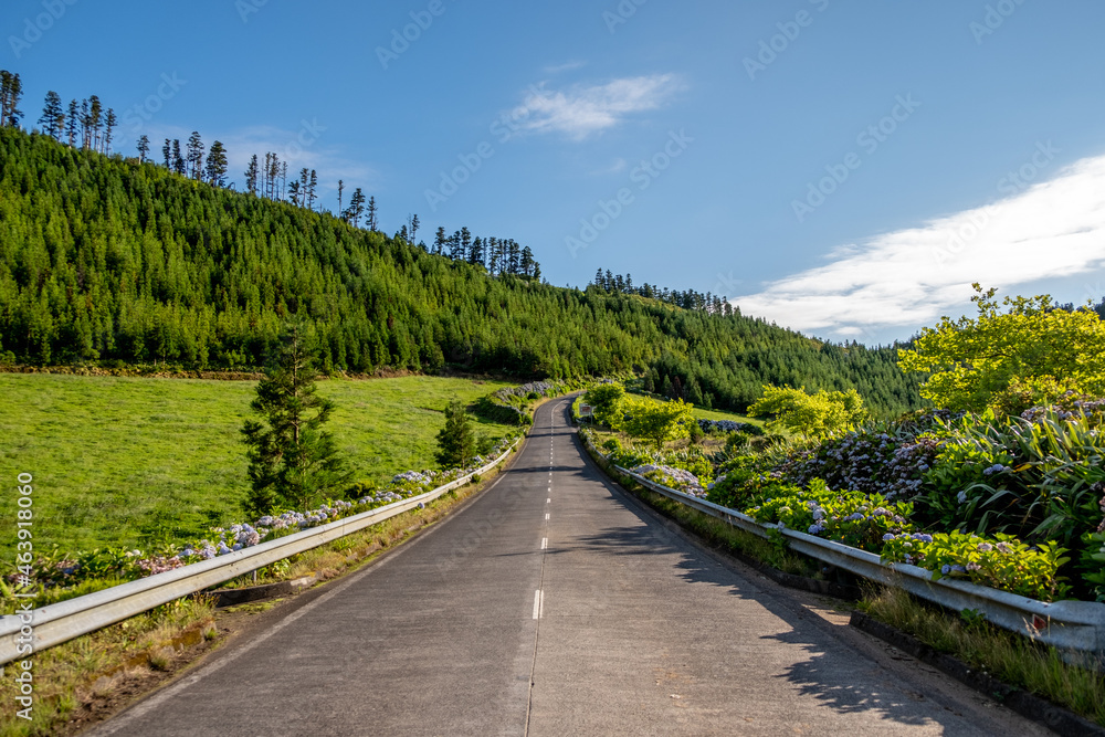 Traditional empty road with the green landscape and blue cloudy sky in the island of São Miguel in the Azores. Traditional empty road with the green landscape and blue cloudy sky in the island of São Miguel in the Azores.