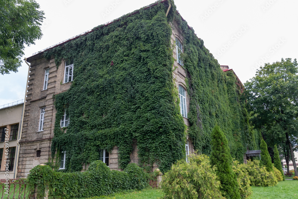 the building is covered with green vines