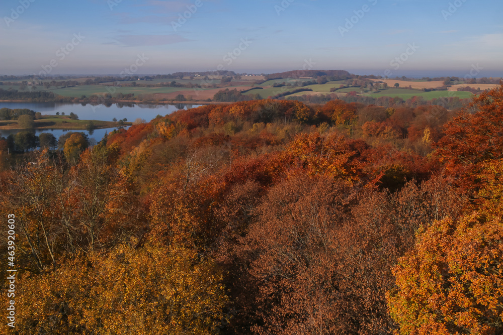 Obraz premium Fantastischer Ausblick vom Parnaßturm auf leuchtende Herbstlandschaft und den Trammer See in der Holsteinischen Schweiz in Plön.