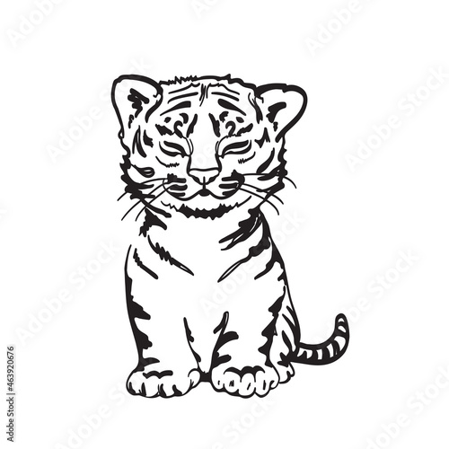 Tiger cub. Sketch. Vector illustration