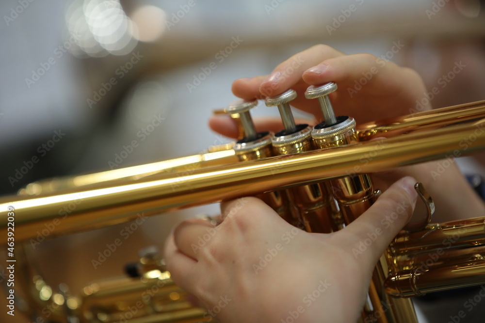 Obraz premium Fingers on the keys of a musical instrument a musician playing a trumpet close-up