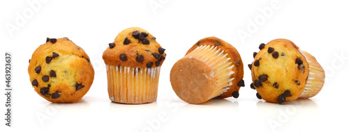 Fresh chocolate chip muffin close up.