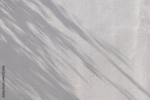 Wallpaper Mural White wall covered with decorative plaster with shadow from a nearby tree. Torontodigital.ca