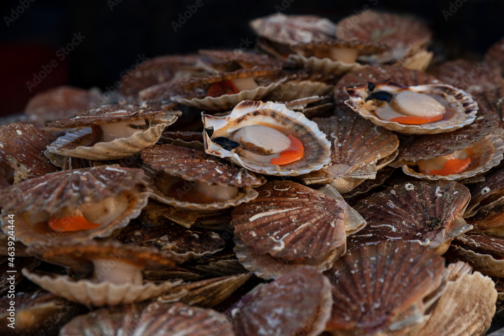 Fresh Scallops on a seafood market at Dieppe France Fresh Scallops on a seafood market at Dieppe France