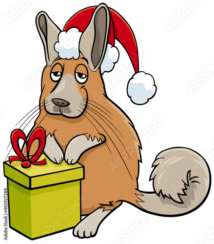 cartoon viscacha animal character with gift on Christmas time photo