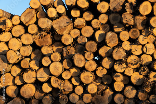Closeup of a stack of wood logs