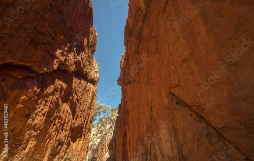 Beautiful view of the Standley Chasm during sunrise in the West MacDonnell National Park photo