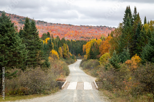 A winding road leads to an amazing display of foliage.