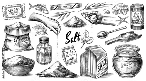 Sea salt set. Glass bottles, packaging and and leaves, wooden spoons, powdered powder, spice in the hand. Vintage background banner. Engraved hand drawn sketch.