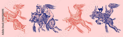 Witch flies with a broom and a dog, a goat and a boar. Ancient mythical Magic characters set. Engraved monochrome sketch. Hand drawn vintage old Fortune illustration.