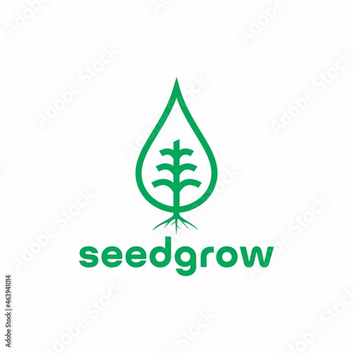 Sprout Seed Grow logo,water drop vector
