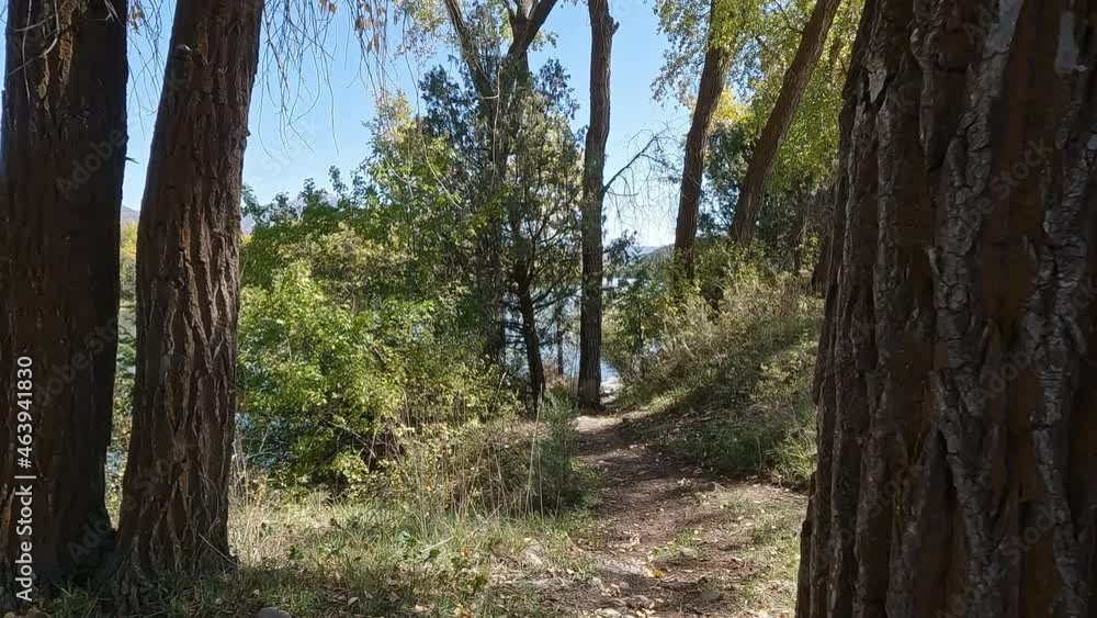 Walking down a trail through trees towards the Snake River in Swan Valley Idaho. Walking down a trail through trees towards the Snake River in Swan Valley Idaho.