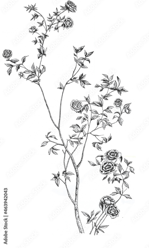 dibujo lineal a mano alzada en blanco y negro de flores, rosas y hojas dibujo lineal a mano alzada en blanco y negro de flores, rosas y hojas