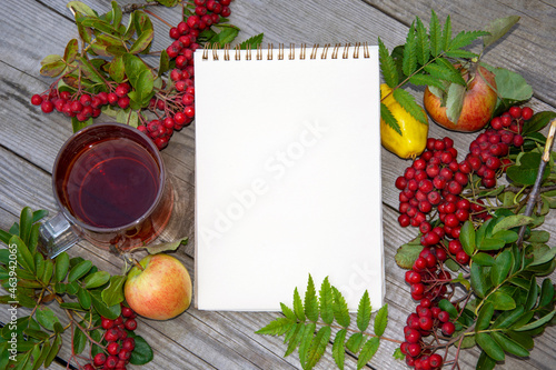Blank paper for text, rowan berries, pears and apples on a wooden background. Background banner with notepad.