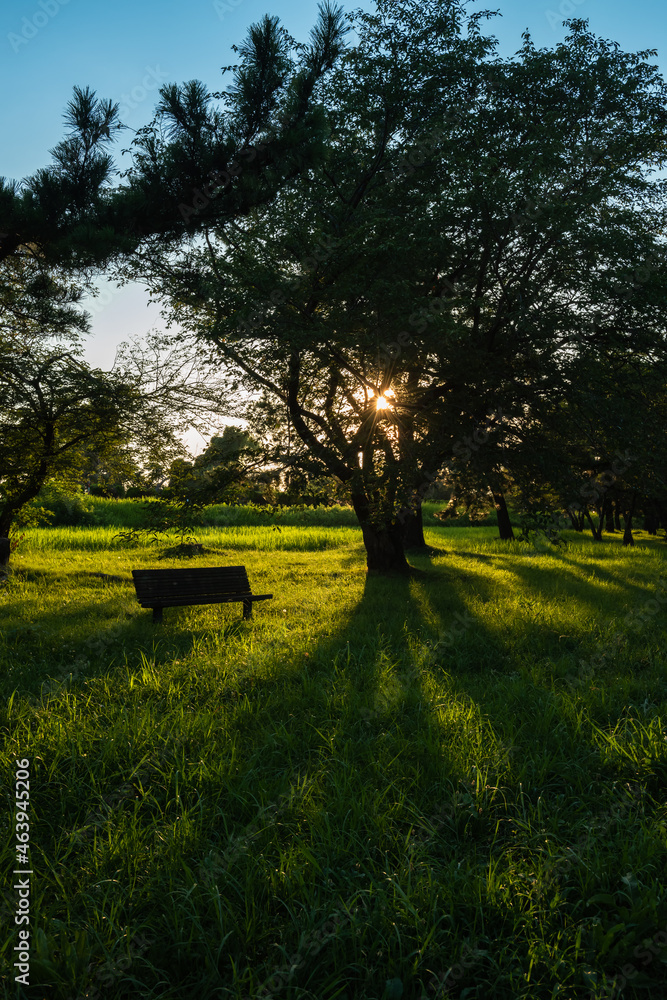 Tree in silhouette creating a big shadow on green grass, park bench, blue sky. Tree in silhouette creating a big shadow on green grass, park bench, blue sky.