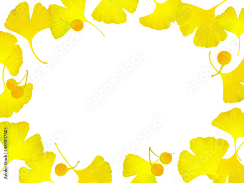 Bright frame design of yellow ginkgo leaves and nuts. Botanical illustration of a vector with a texture like a watercolor. autumn decorative elements on transparent background.