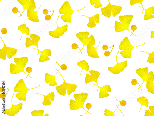 Autumn pattern on a transparent background of yellow ginkgo leaves and nuts. Botanical illustration of a vector with a texture like a watercolor.