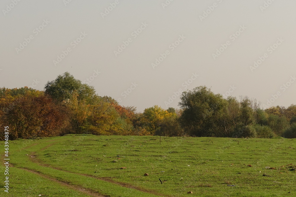 Fototapeta premium The warm glow of autumn Autumn forest forests