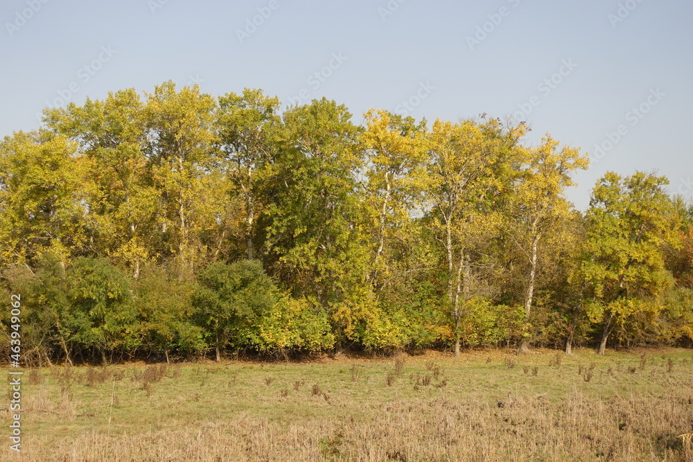 The beauty of the majestic Caucasus:photo russia in autumn